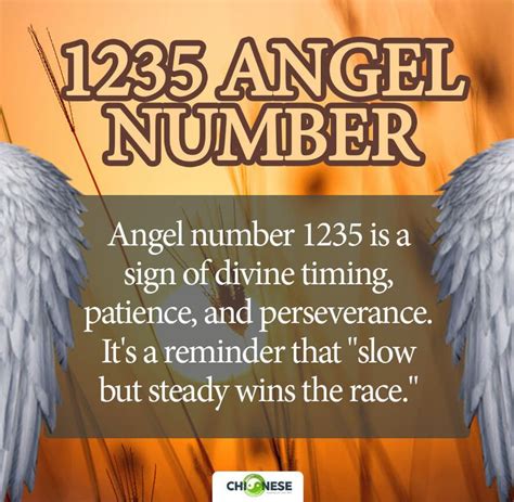 1235 angel number twin flame|Angel number 1235: Meaning and Symbolism, Twin flame, and Truth